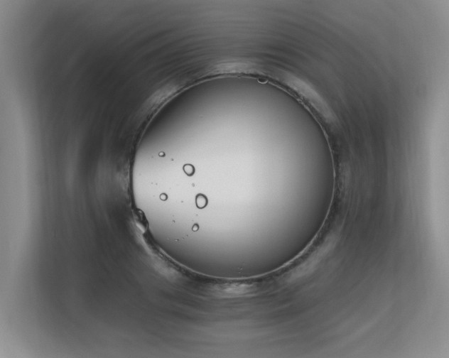 X0000110690841200906121224