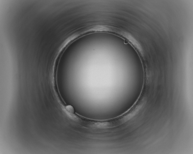 X0000110690845200906121224