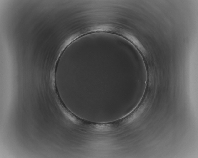 X0000110690850200906121224