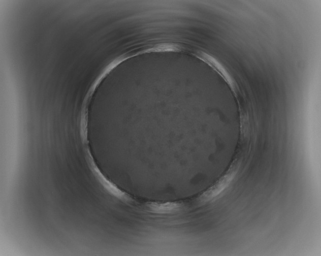 X0000110690851200906121224