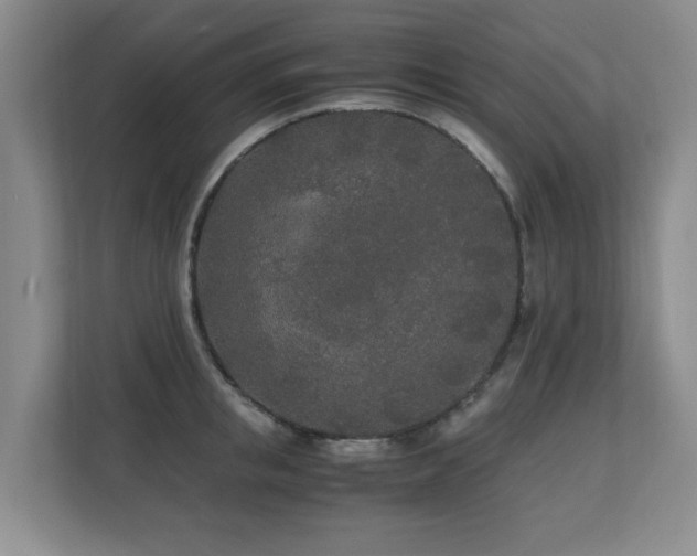 X0000110690853200906121224