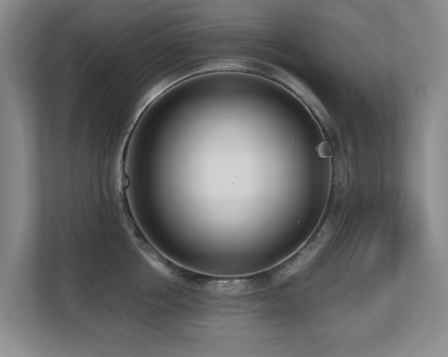 X0000110690858200906121224