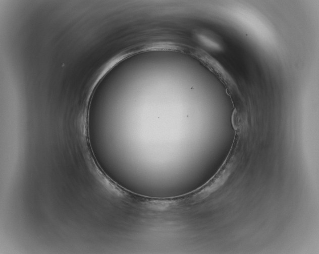 X0000110690860200906121224