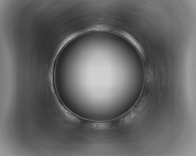 X0000110690861200906121224