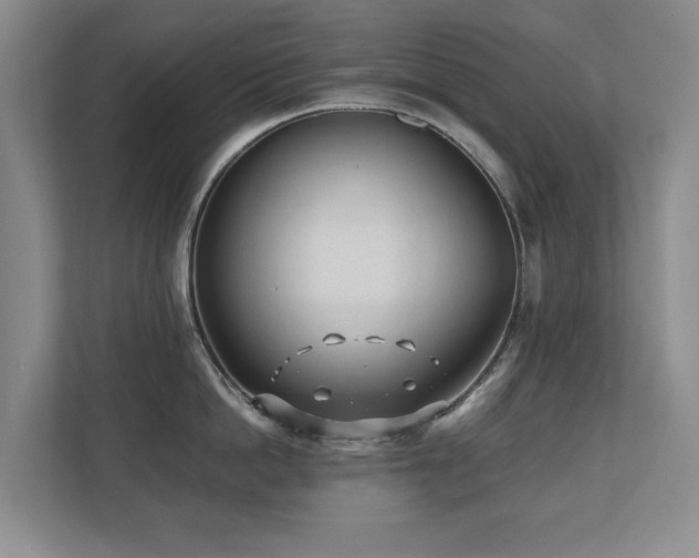 X0000110690862200906121224