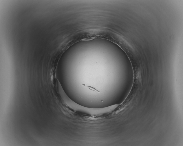 X0000110690868200906121224