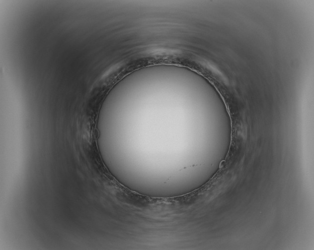 X0000110690869200906121224