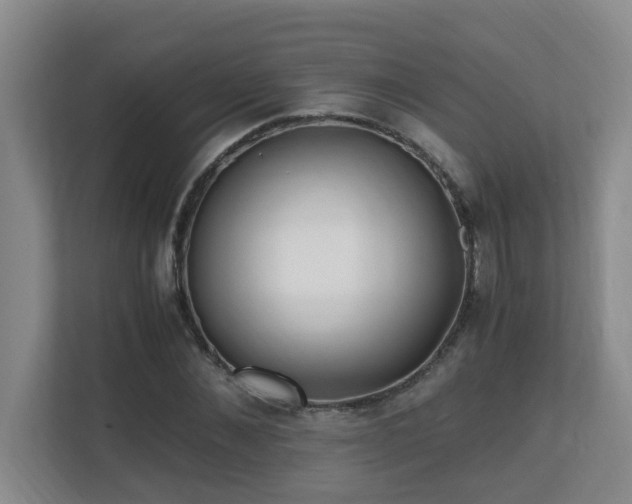 X0000110690876200906121224