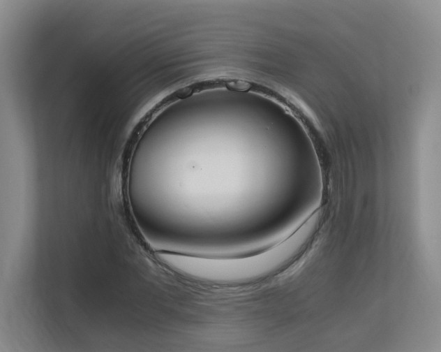 X0000110690877200906121224