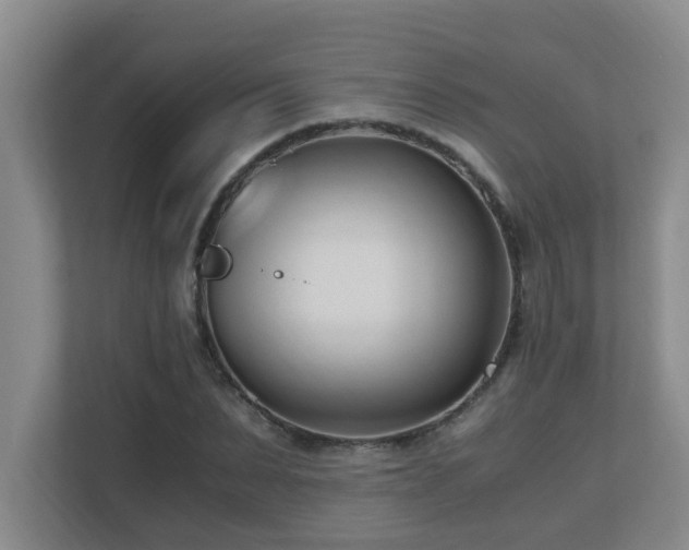 X0000110690879200906121224