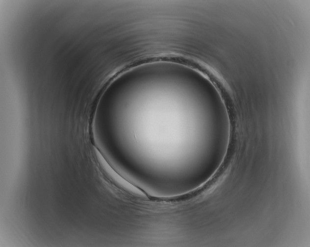 X0000110690881200906121224