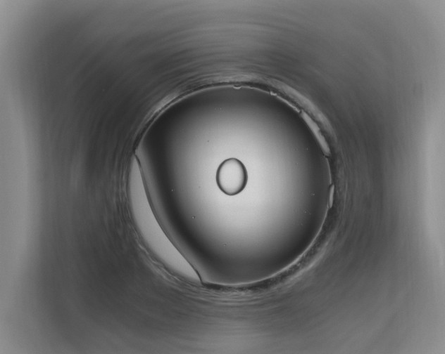 X0000110690889200906121224