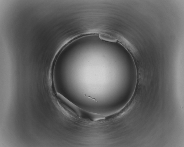 X0000110690892200906121224