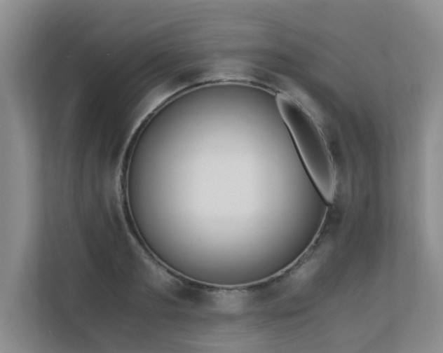 X0000110690893200906121224