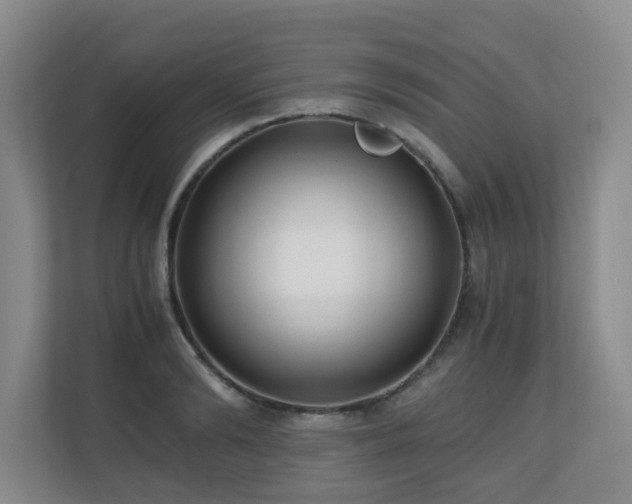 X0000110690894200906121224