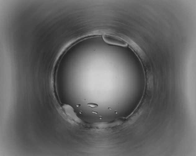 X0000110690896200906121223