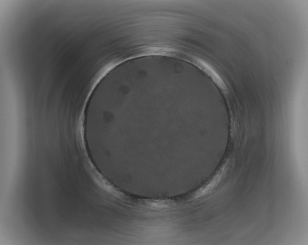 X0000110690899200906121223