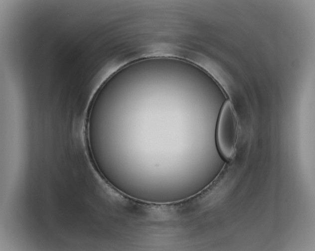 X0000110690901200906121223