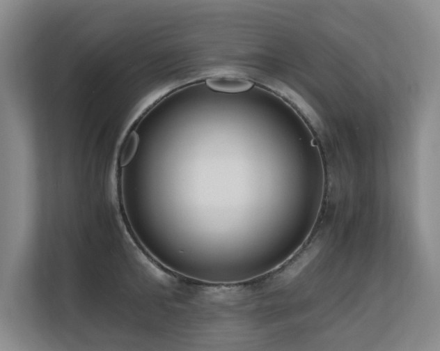 X0000110690902200906121223