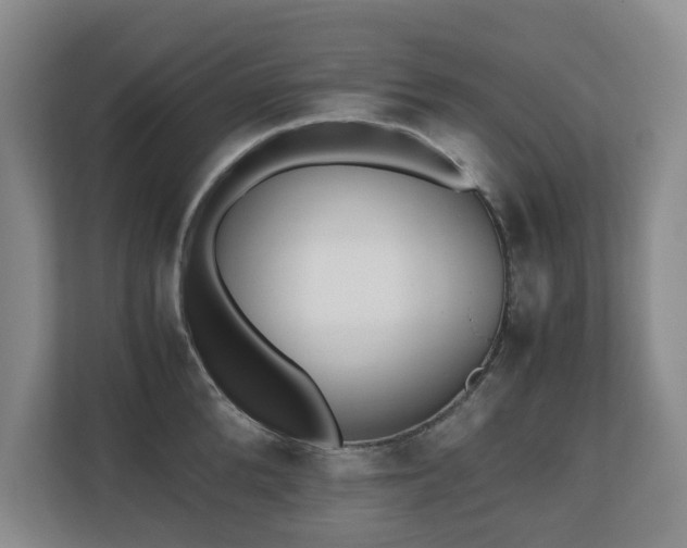 X0000110690904200906121223