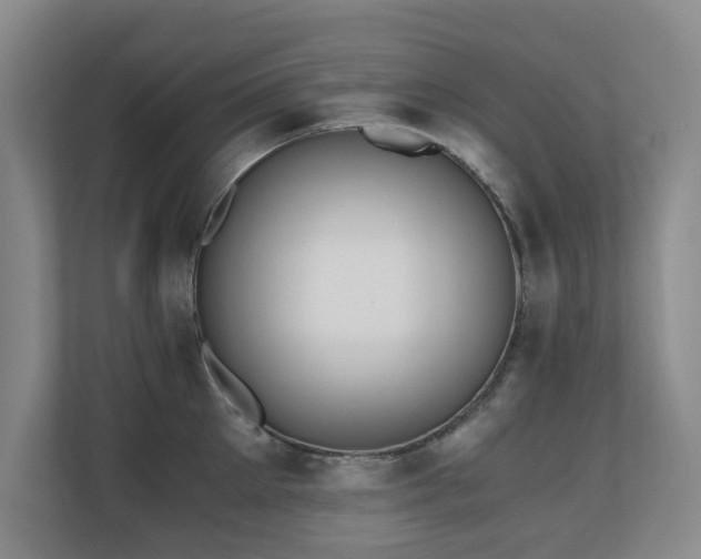 X0000110690905200906121223