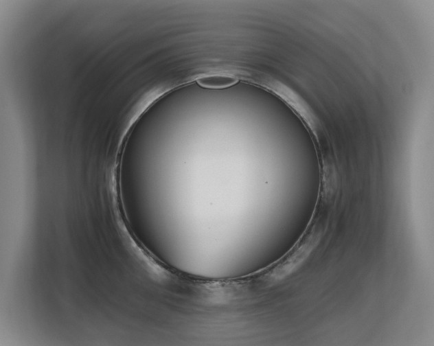 X0000110690906200906121223