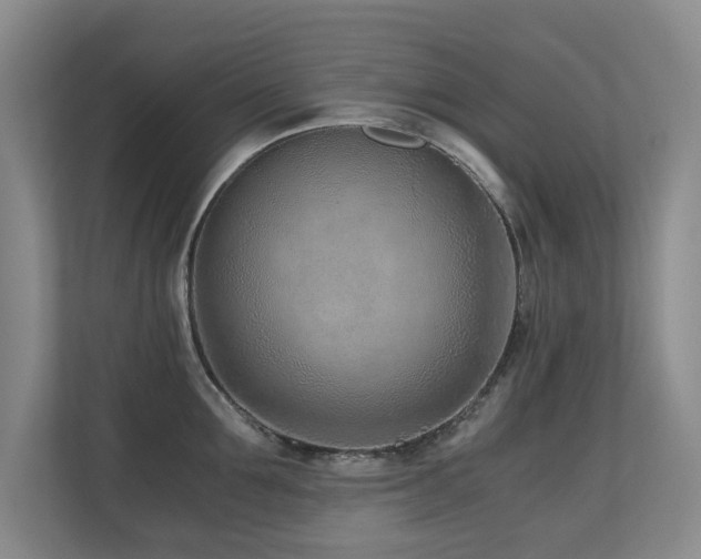 X0000110690907200906121223