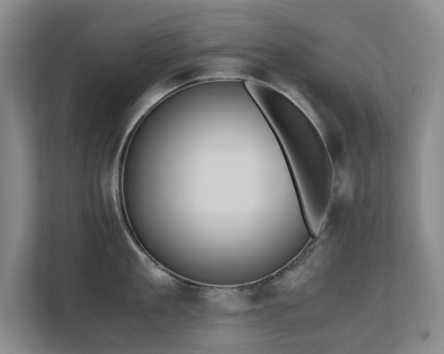 X0000110690909200906121223