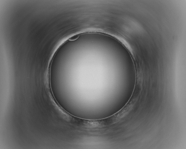 X0000110690911200906121223