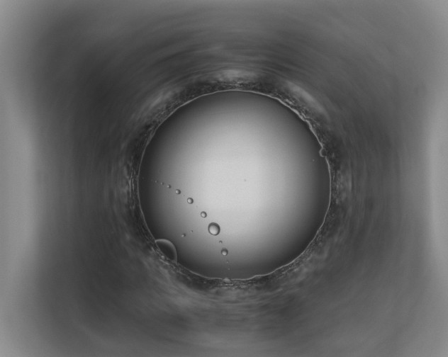 X0000110690917200906121223