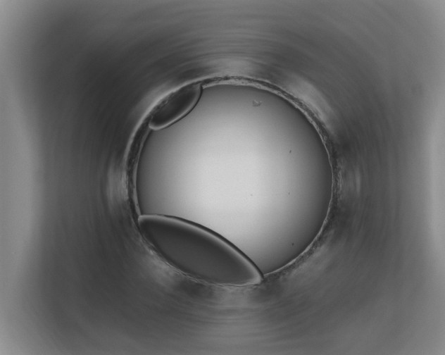 X0000110690924200906121223