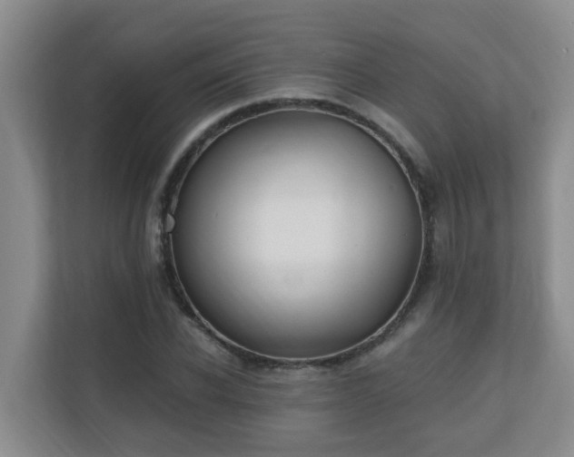 X0000110690926200906121223