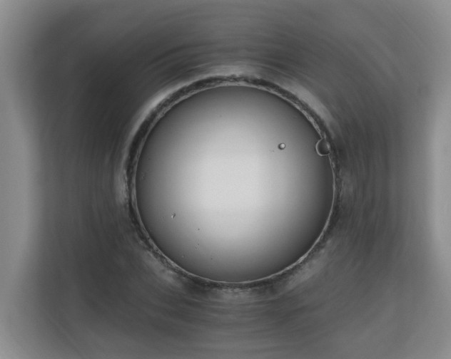 X0000110690927200906121223