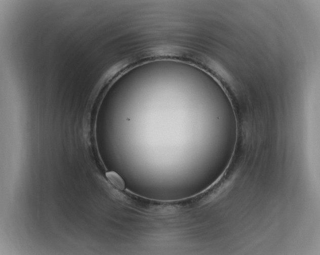 X0000110690930200906121223