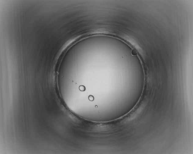 X0000110690933200906121223