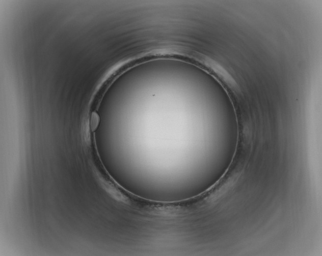 X0000110690934200906121223