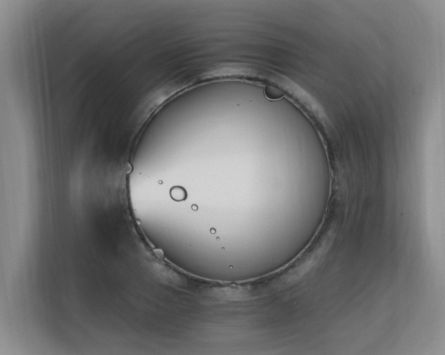 X0000110690937200906121223