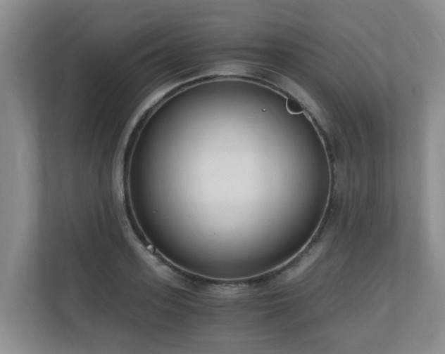 X0000110690939200906121223