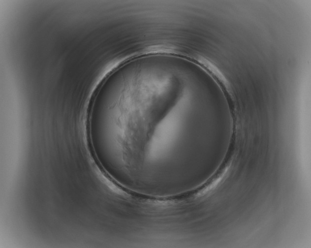 X0000110690941200906121223