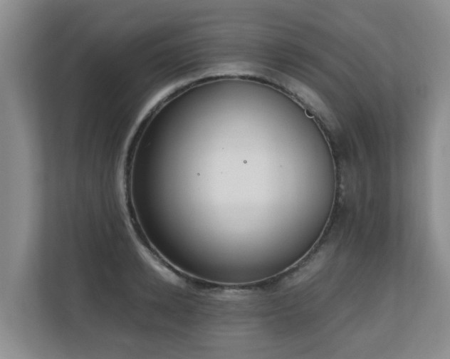 X0000110690942200906121223