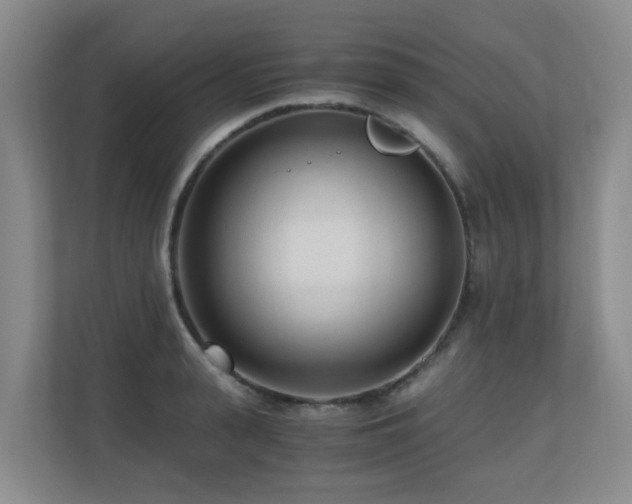 X0000110690943200906121223