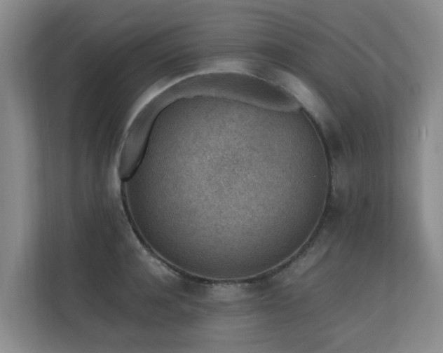 X0000110690944200906121223