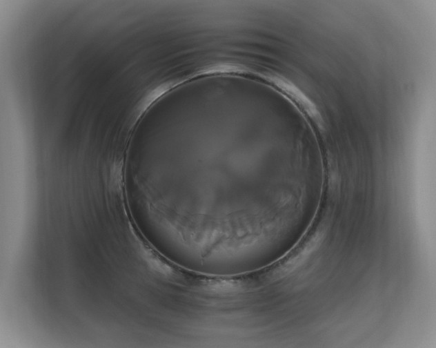 X0000110690945200906121223