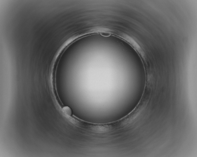 X0000110690947200906121223