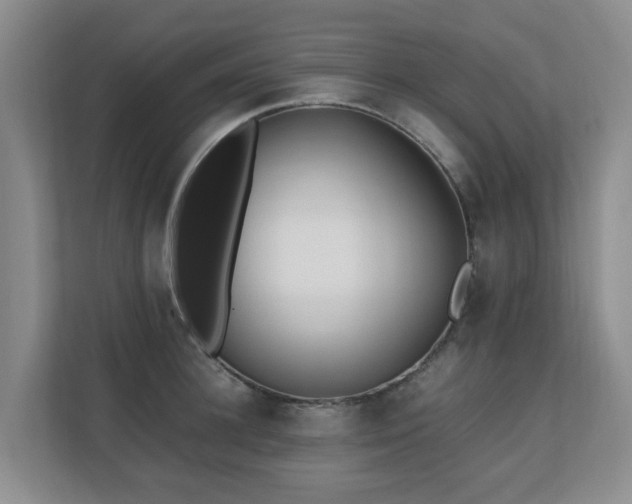 X0000110690948200906121223