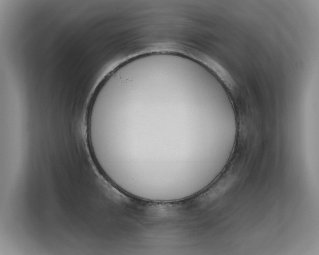 X0000110690950200906121223