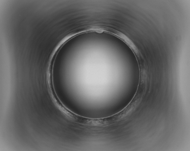 X0000110690955200906121223