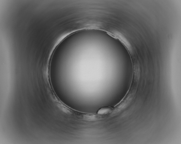 X0000110690956200906121223