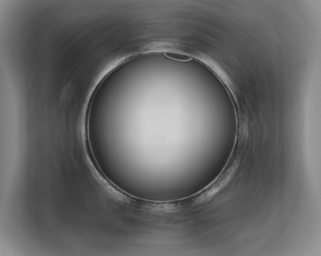 X0000110690957200906121223