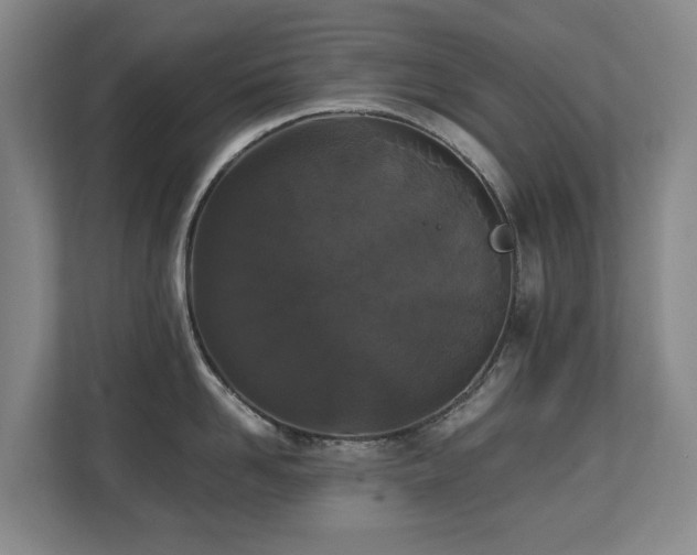 X0000110690958200906121223